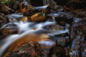 Branding-Box-Utah-stream