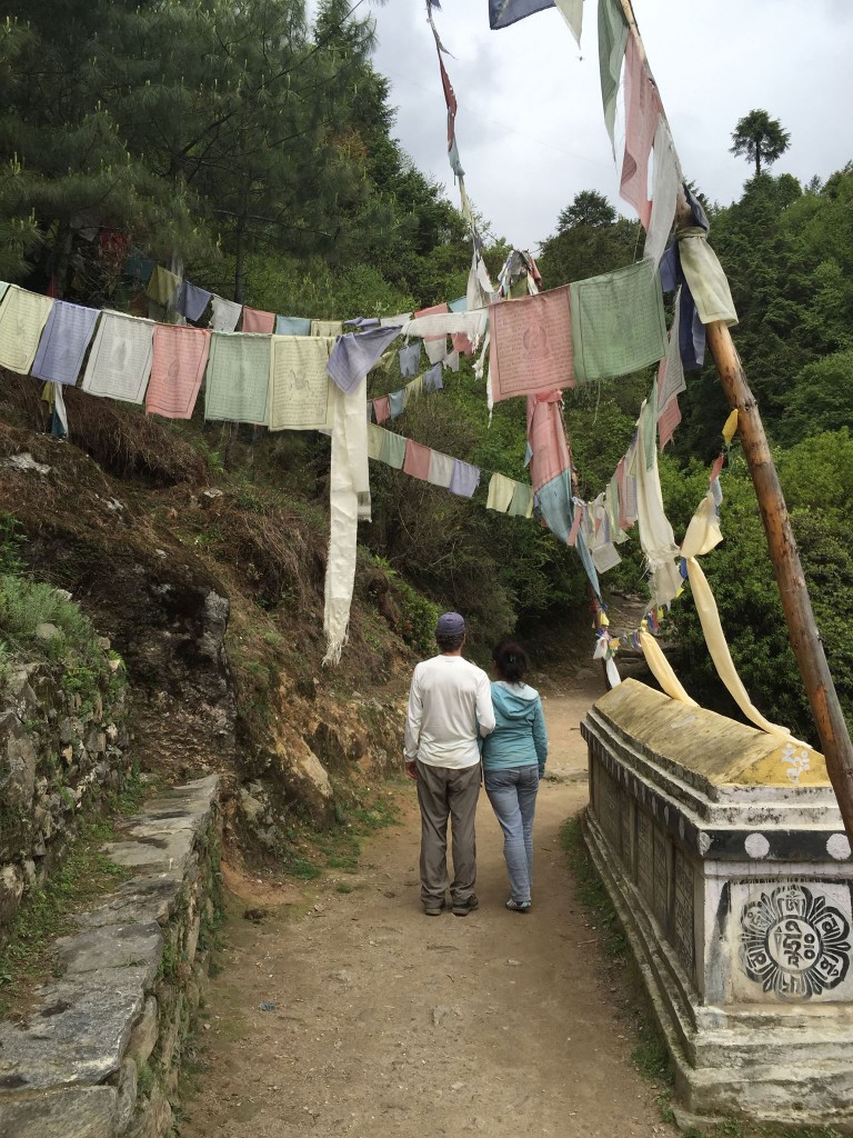 Kottler walks along a trail in the Mount Everest region with a nurse, Pema. They took the walk to take a break and talk about the trauma and flashbacks they had been experiencing themselves. "Pema is a nurse who was at ground zero after the first earthquake. She saw headless bodies, saw hundreds of corpses crushed and listened to the wails of desperate mothers begging her to save their injured children. We talked about secondary trauma and how so many health professionals will experience problems once they fully metabolize everything they’ve witnessed," Kottler says.