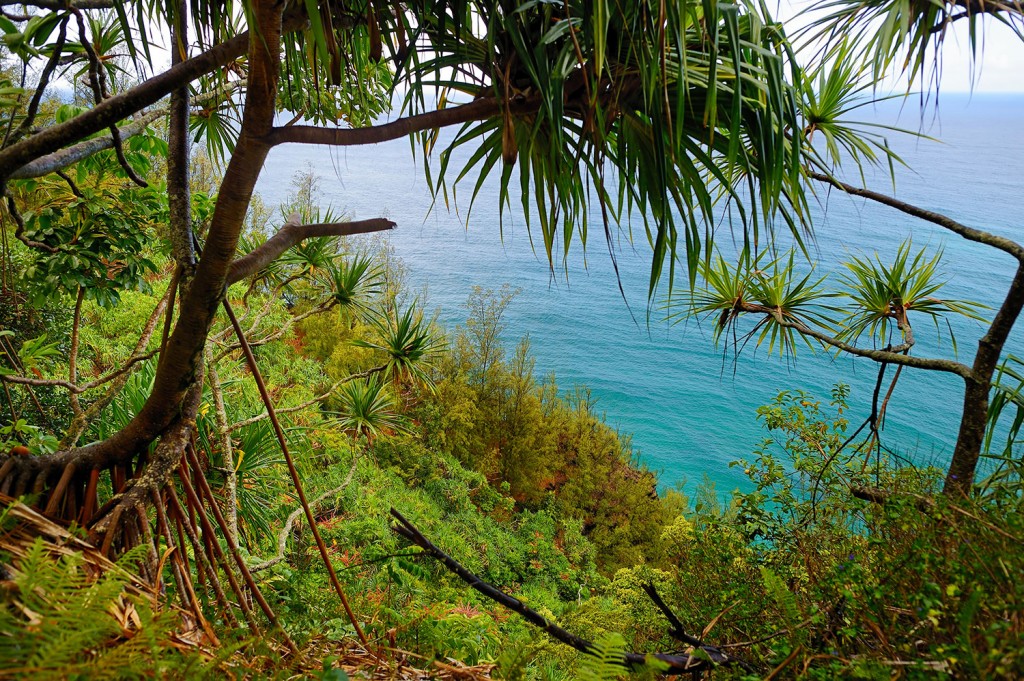 A view from the Kalalau Trail in Kauai.